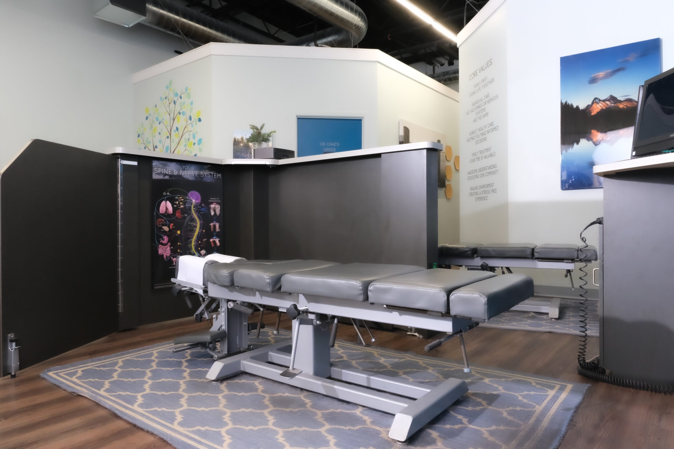 Chiropractic Adjustment Services in Royersford, PA